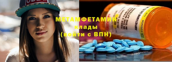 крисы Бородино