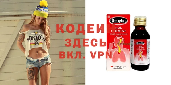 крисы Бородино