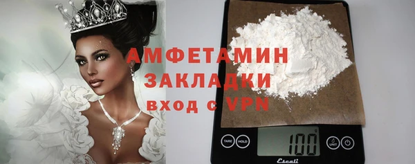 крисы Бородино