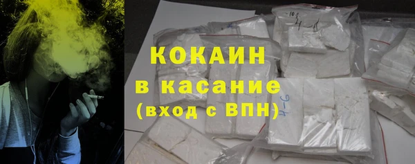крисы Бородино