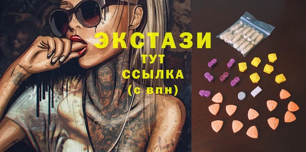 крисы Бородино
