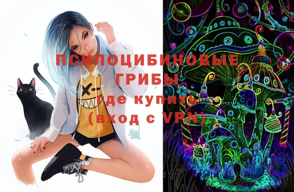крисы Бородино
