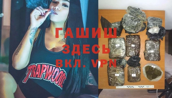 крисы Бородино