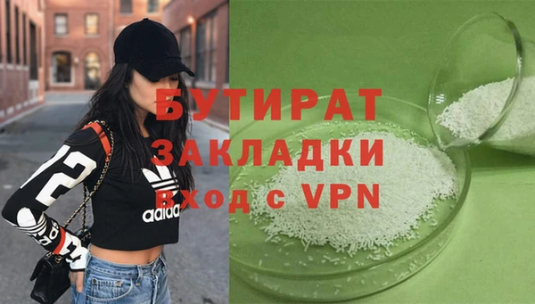 крисы Бородино
