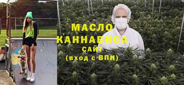 крисы Бородино