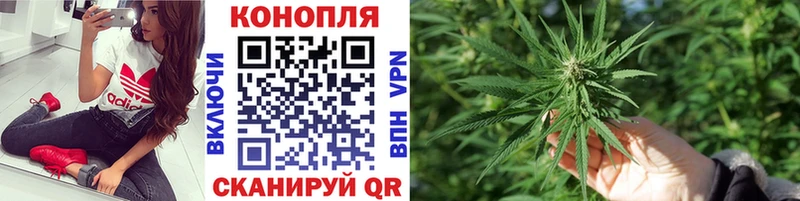 Конопля Amnesia  Вичуга 